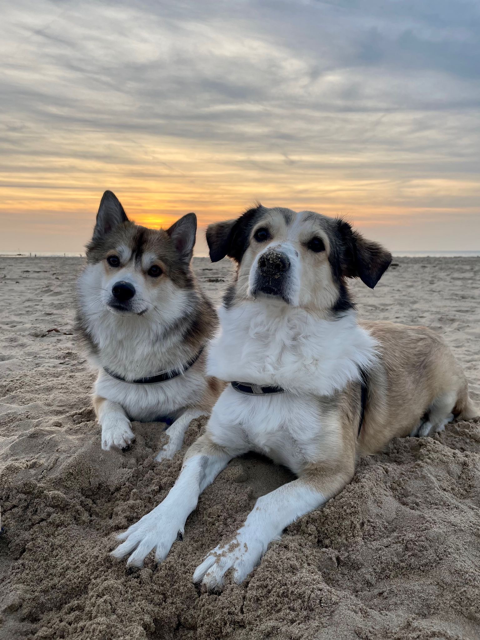 Davy en George liggen samen in het zand bij zonsondergang